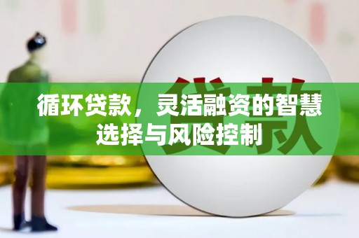 宁波循环贷款，灵活融资的智慧选择与风险控制