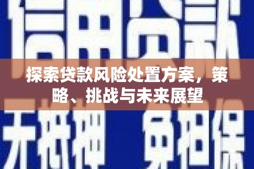 宁波探索贷款风险处置方案，策略、挑战与未来展望