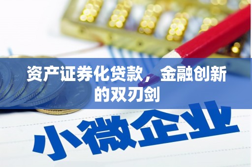 宁波资产证券化贷款，金融创新的双刃剑