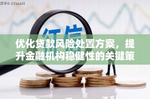 宁波优化贷款风险处置方案，提升金融机构稳健性的关键策略