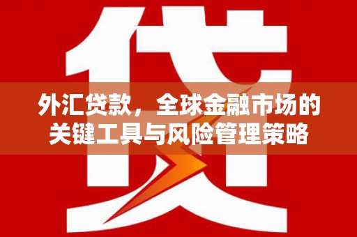 宁波外汇贷款，全球金融市场的关键工具与风险管理策略