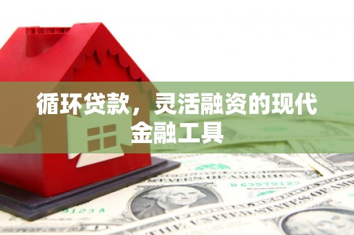 宁波循环贷款，灵活融资的现代金融工具