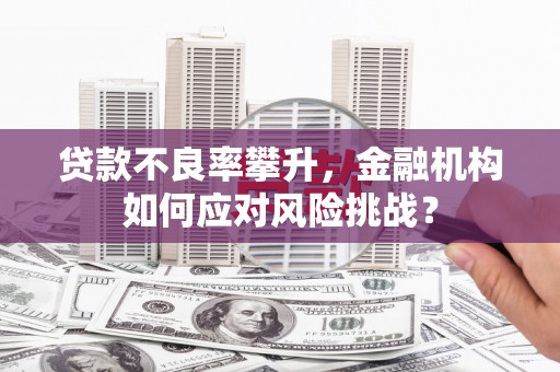 宁波贷款不良率攀升，金融机构如何应对风险挑战？