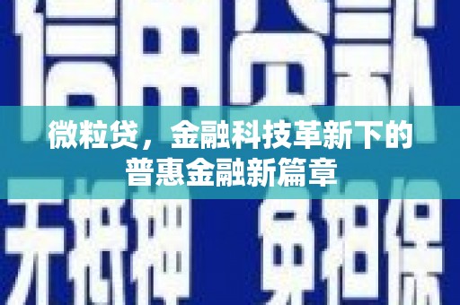 宁波微粒贷，金融科技革新下的普惠金融新篇章