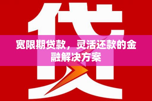 宁波宽限期贷款，灵活还款的金融解决方案