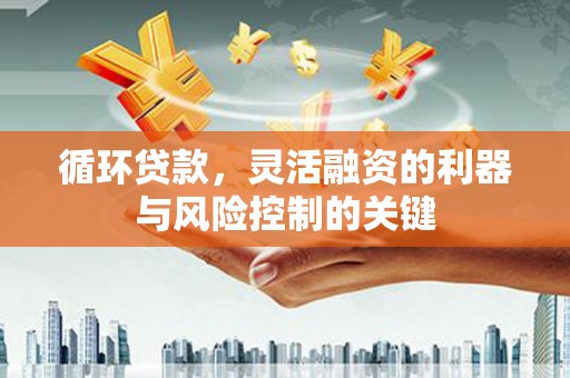 宁波循环贷款，灵活融资的利器与风险控制的关键