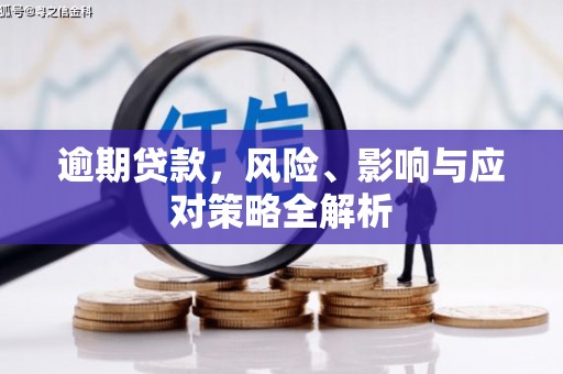 宁波逾期贷款，风险、影响与应对策略全解析