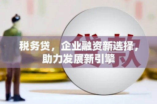 宁波税务贷，企业融资新选择，助力发展新引擎