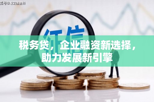 宁波税务贷，企业融资新选择，助力发展新引擎