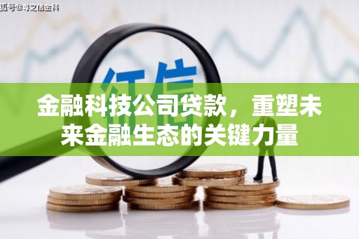 宁波金融科技公司贷款，重塑未来金融生态的关键力量
