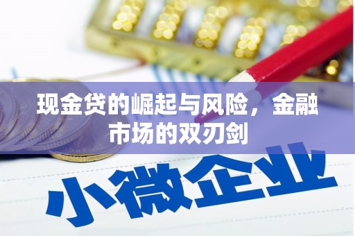 宁波现金贷的崛起与风险，金融市场的双刃剑