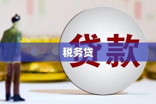 宁波税务贷