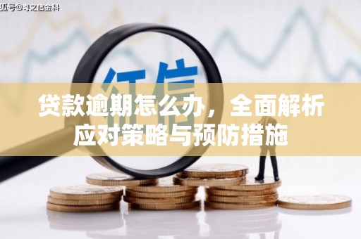 宁波贷款逾期怎么办，全面解析应对策略与预防措施