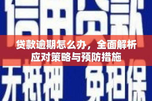 宁波贷款逾期怎么办，全面解析应对策略与预防措施