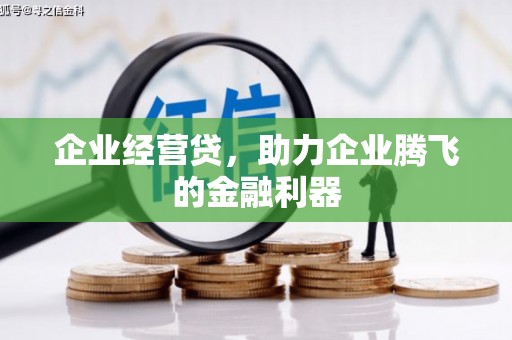 宁波企业经营贷，助力企业腾飞的金融利器