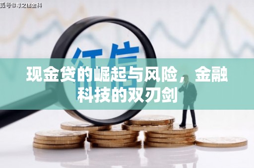 宁波现金贷的崛起与风险，金融科技的双刃剑
