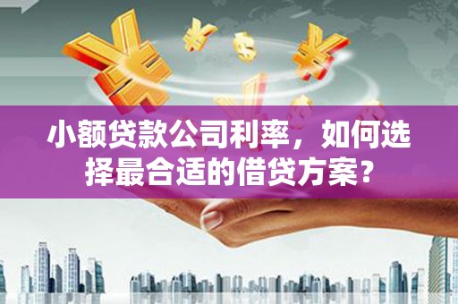 宁波小额贷款公司利率，如何选择最合适的借贷方案？