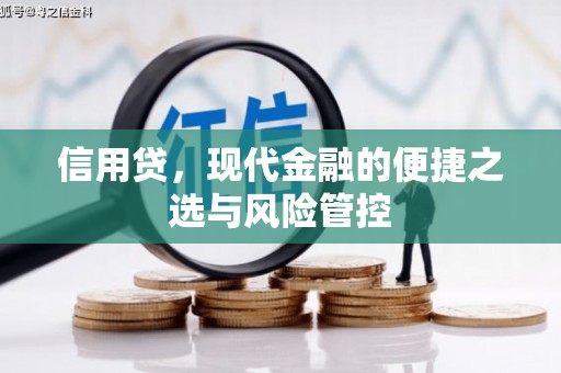 宁波信用贷，现代金融的便捷之选与风险管控