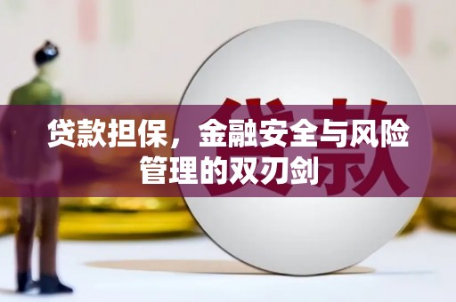 宁波贷款担保，金融安全与风险管理的双刃剑