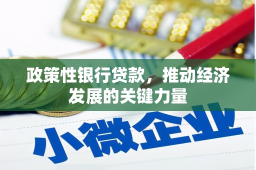 宁波政策性银行贷款，推动经济发展的关键力量