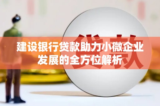 宁波建设银行贷款助力小微企业发展的全方位解析