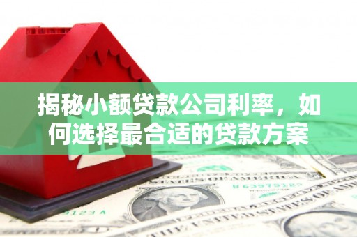 宁波揭秘小额贷款公司利率，如何选择最合适的贷款方案
