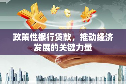 宁波政策性银行贷款，推动经济发展的关键力量