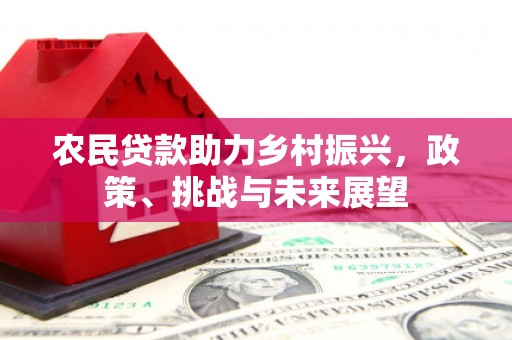 宁波农民贷款助力乡村振兴，政策、挑战与未来展望