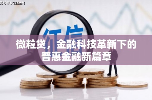 宁波微粒贷，金融科技革新下的普惠金融新篇章