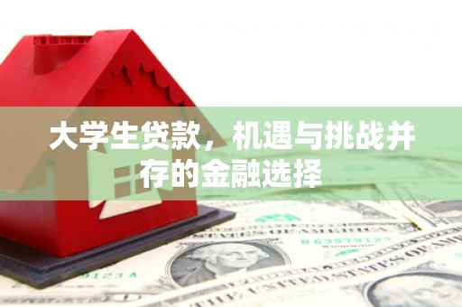 宁波大学生贷款，机遇与挑战并存的金融选择