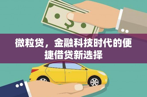 宁波微粒贷，金融科技时代的便捷借贷新选择