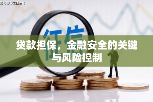 宁波贷款担保，金融安全的关键与风险控制
