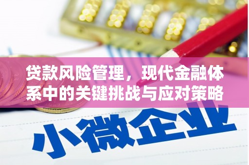 宁波贷款风险管理，现代金融体系中的关键挑战与应对策略