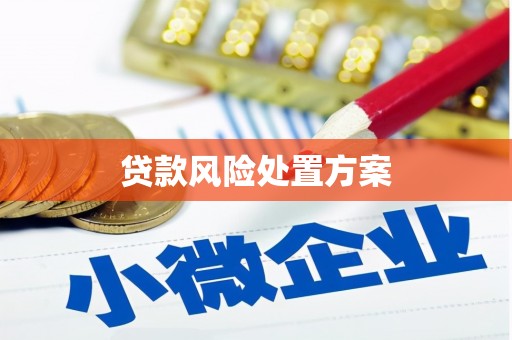 宁波贷款风险处置方案