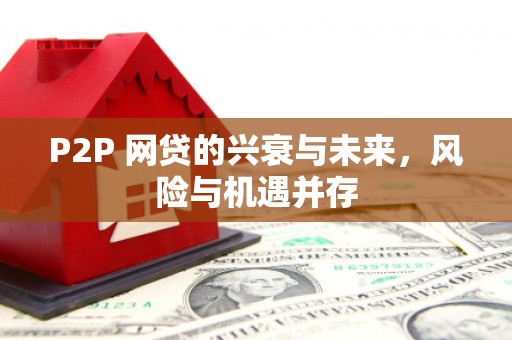 宁波P2P 网贷的兴衰与未来，风险与机遇并存