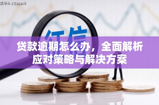 宁波贷款逾期怎么办，全面解析应对策略与解决方案