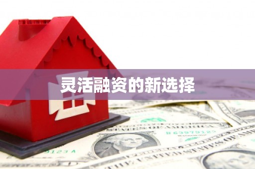 宁波灵活融资的新选择