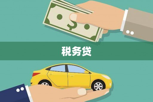 宁波税务贷